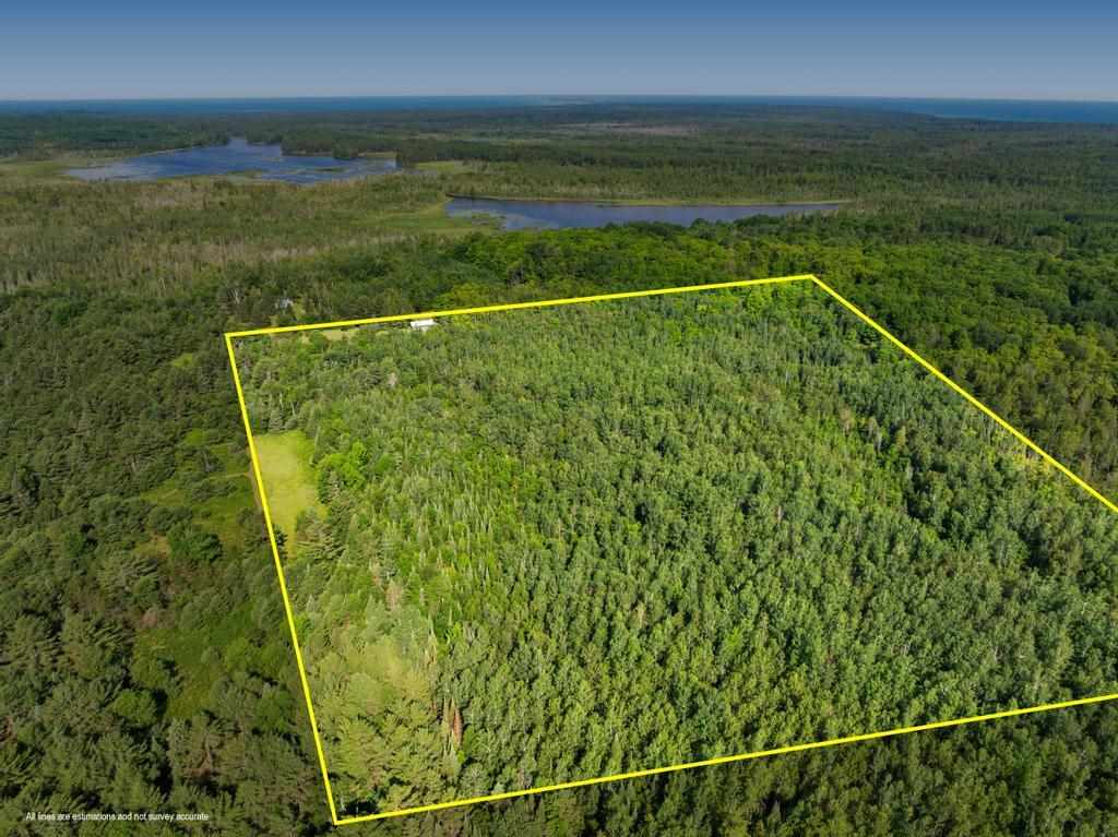 11260 Mccleary Carp Lake MI 49718