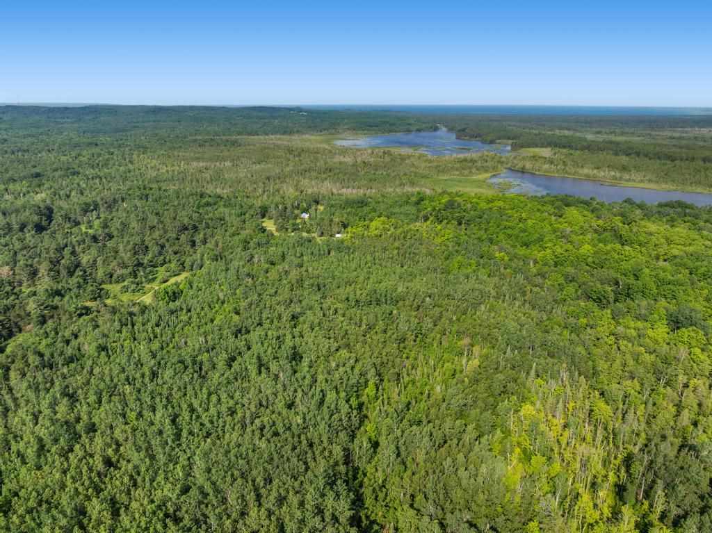 11260 Mccleary Carp Lake MI 49718