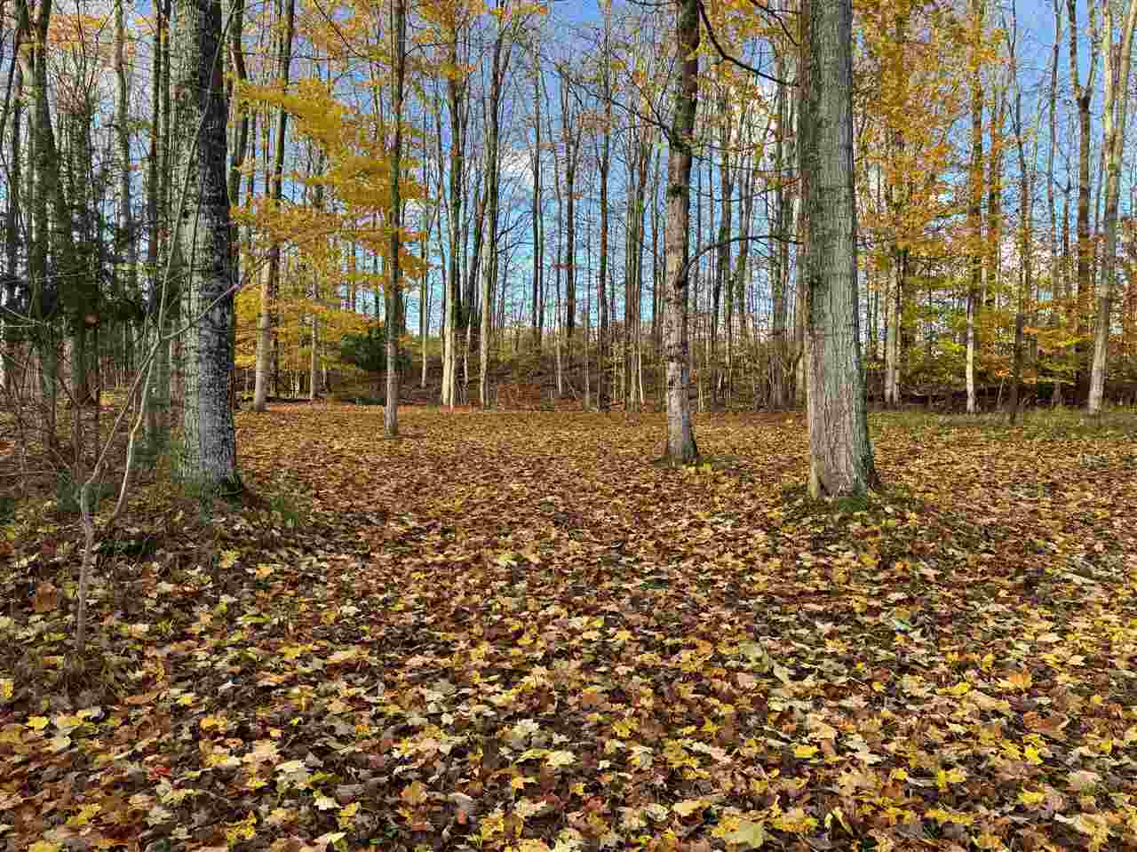 2446 Spayde Road Charlevoix MI 49720