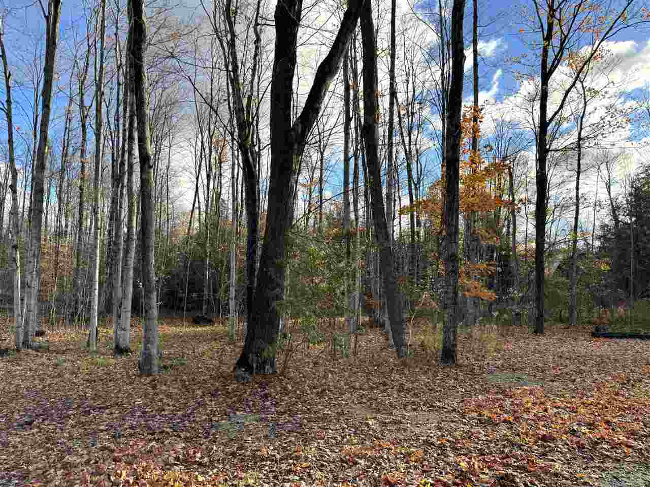 2446 Spayde Road Charlevoix MI 49720