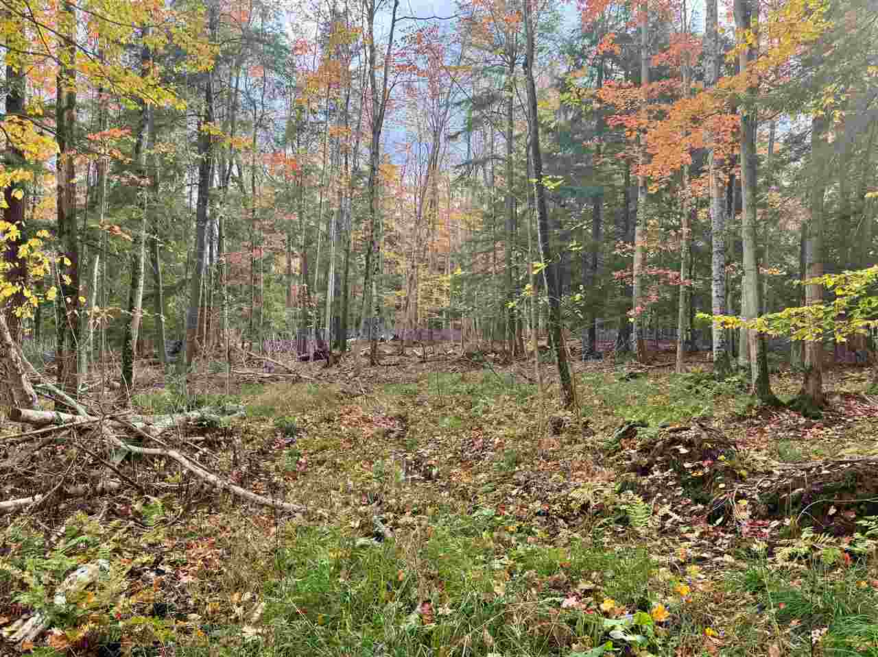 2446 Spayde Road Charlevoix MI 49720