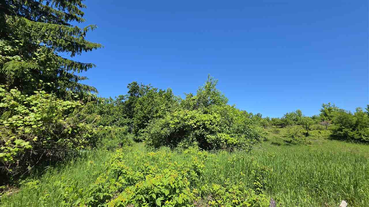 7962 W Stutsmanville Road Harbor Springs MI 49740