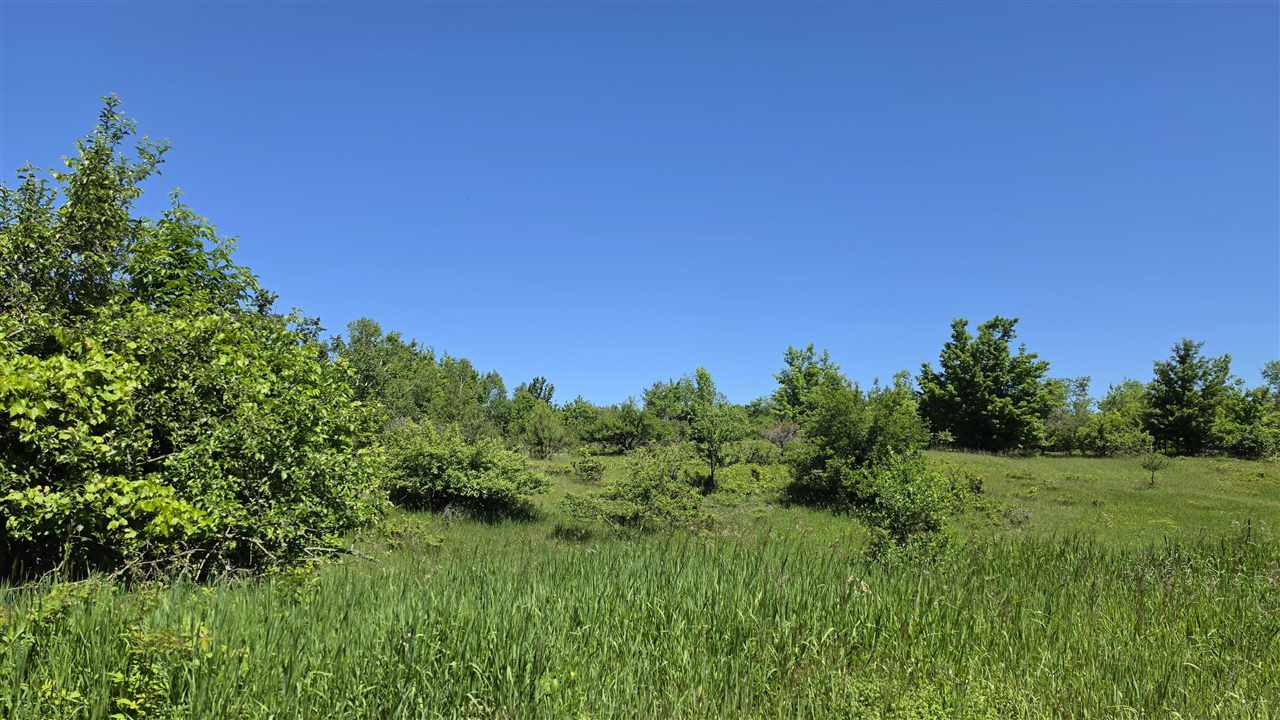 7962 W Stutsmanville Road Harbor Springs MI 49740