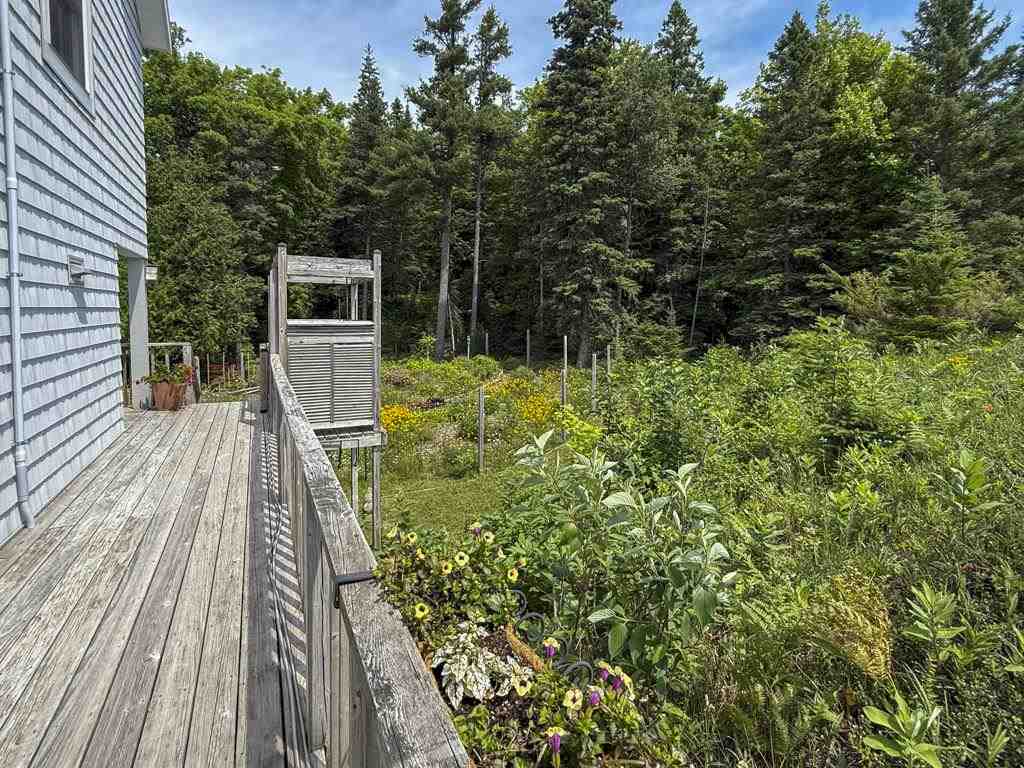 29390 Betsy Smith Trail Beaver Island MI 49782