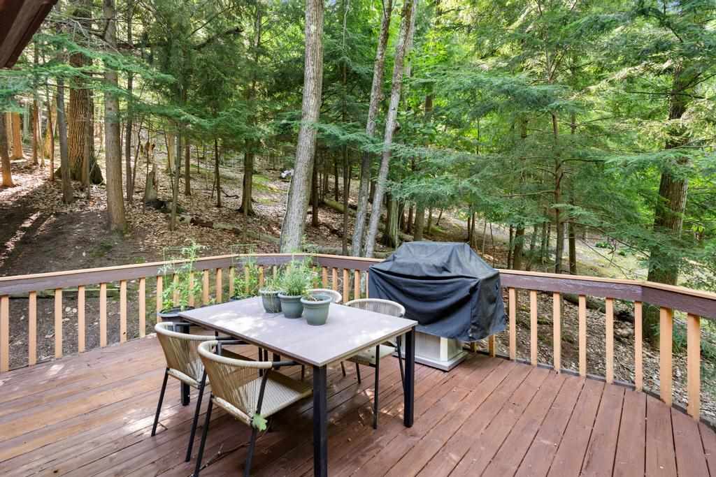 1452 Timber Pass Harbor Springs MI 49740