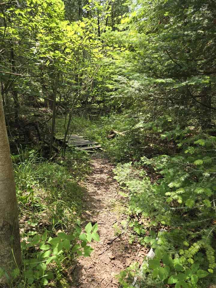 4010 Lake Shore Charlevoix MI 49720