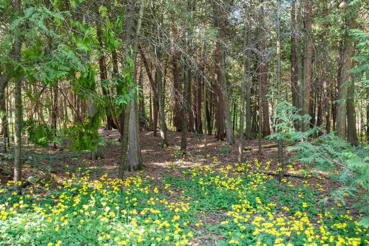 3884 M 185 Mackinac Island MI 49757