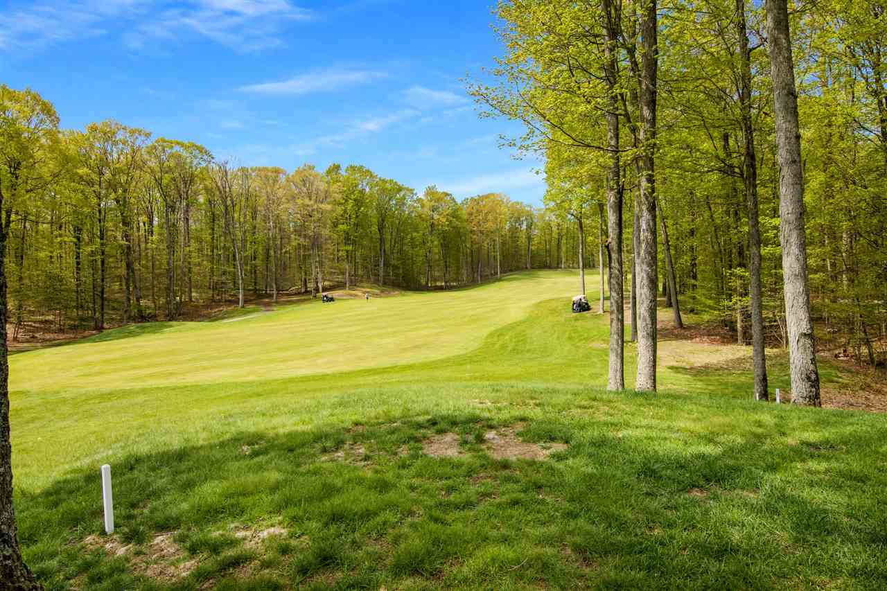 5582 Troon North Bellaire MI 49615