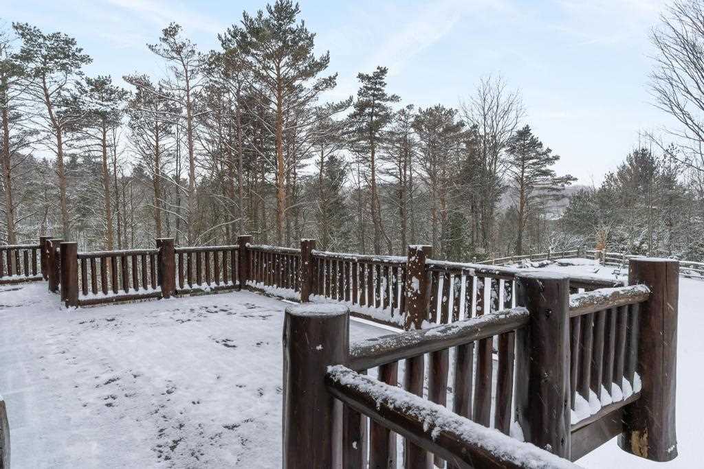 796 Bellmer Road Petoskey MI 49770