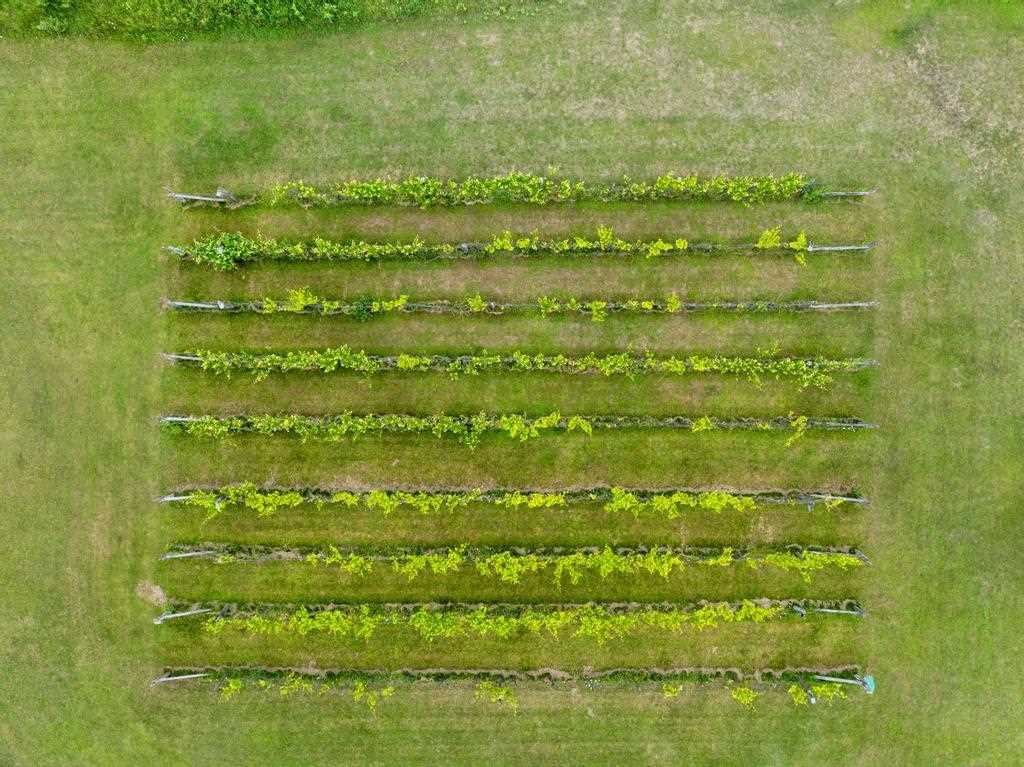 19553 Richardson Road Charlevoix MI 49720