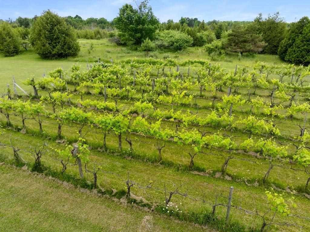 19553 Richardson Road Charlevoix MI 49720