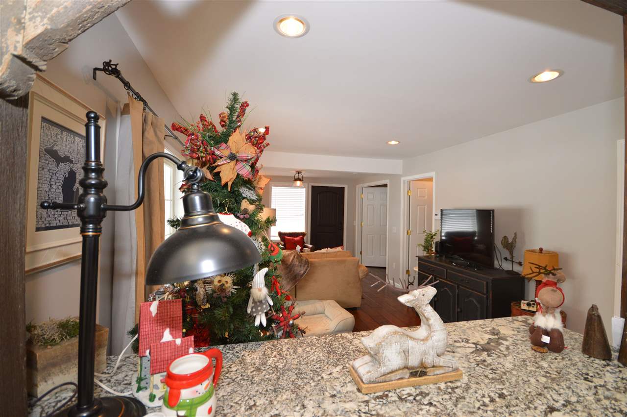 133 Cherry Street Boyne City MI 49712