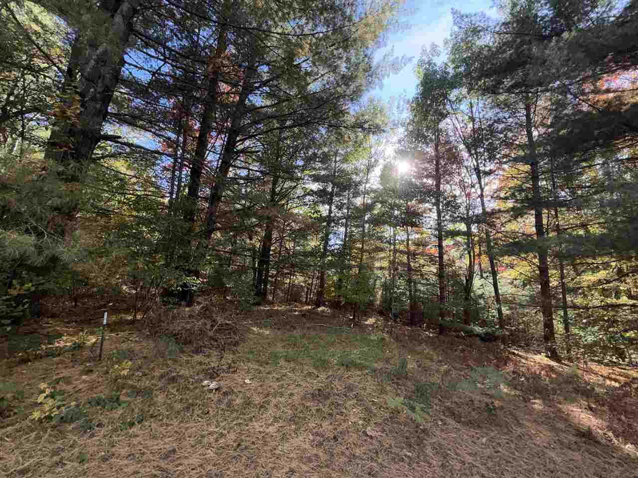 6671 SW Ingersoll Road Fife Lake MI 49633