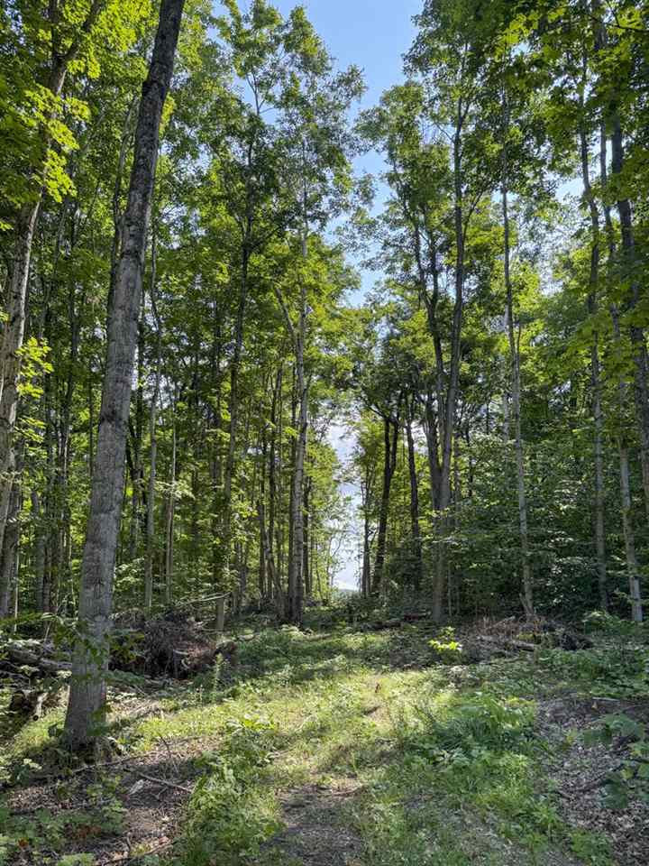 31094 Fox Lake Road Beaver Island MI 49782