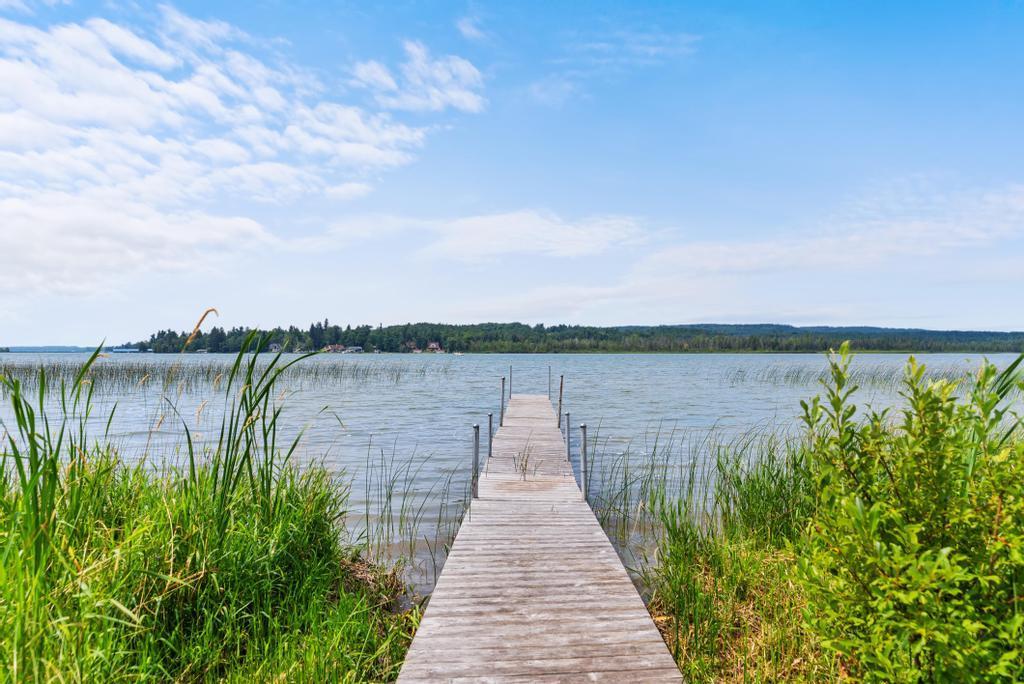6097 Summerside Drive Alanson MI 49706