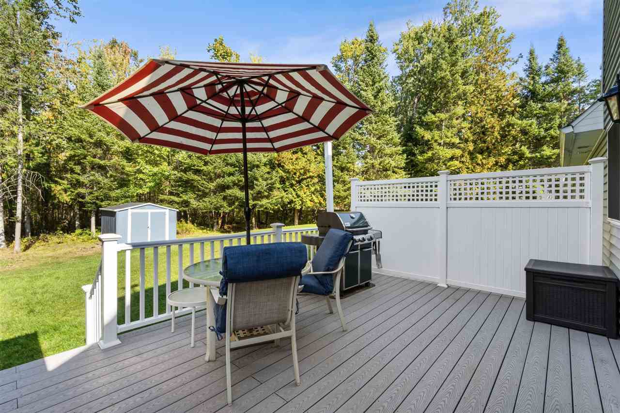 10826 Chickagami Trail Brutus MI 49716