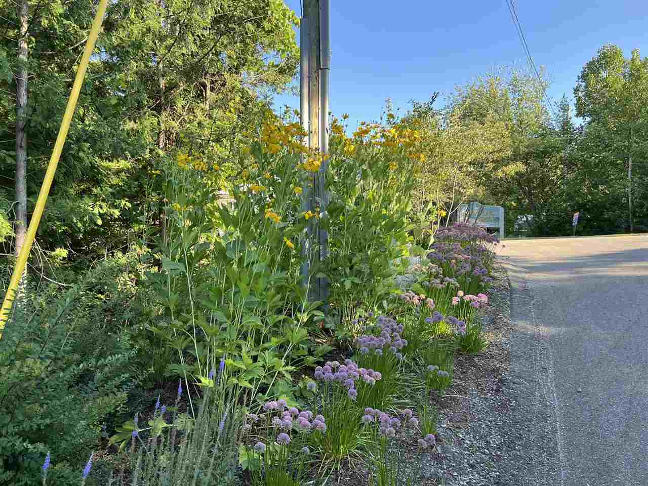 7585 Nine Mile Point Drive Charlevoix MI 49720
