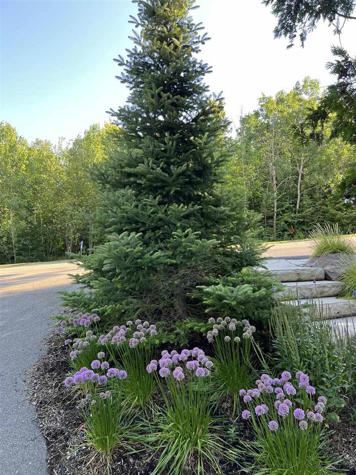 7585 Nine Mile Point Drive Charlevoix MI 49720
