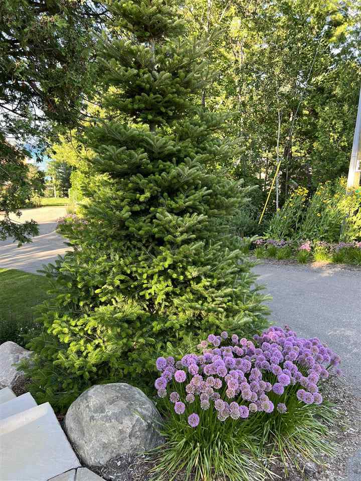 7585 Nine Mile Point Drive Charlevoix MI 49720