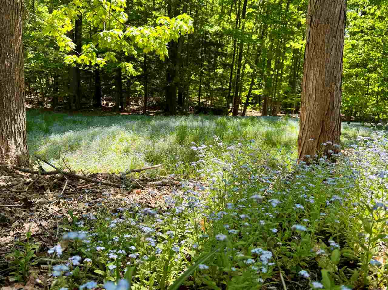 2525 Hemlock Lane Petoskey MI 49770