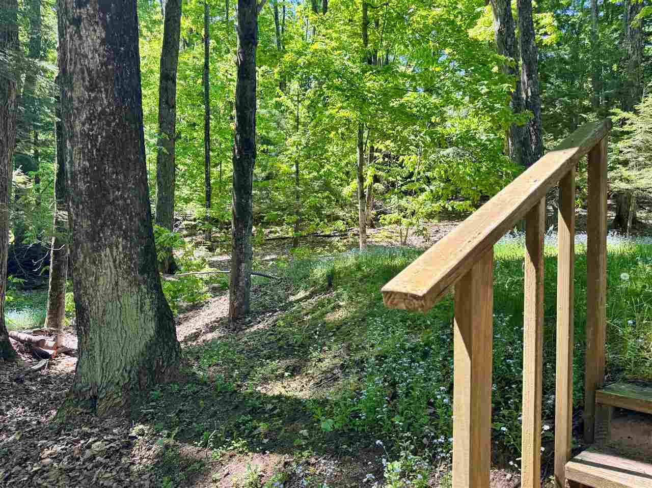 2525 Hemlock Lane Petoskey MI 49770