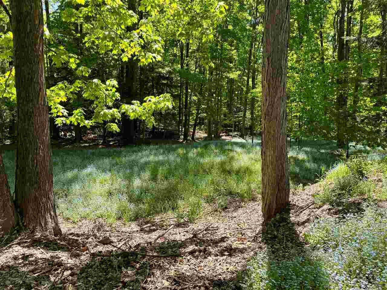 2525 Hemlock Lane Petoskey MI 49770