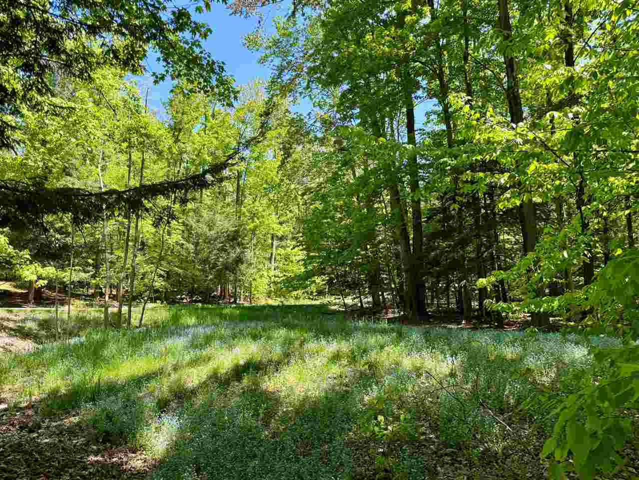 2525 Hemlock Lane Petoskey MI 49770