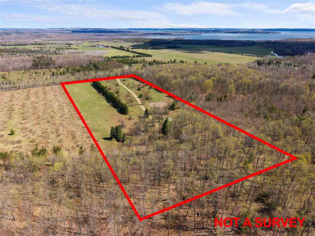 8262 Hilltop Road Alanson MI 49706-1234