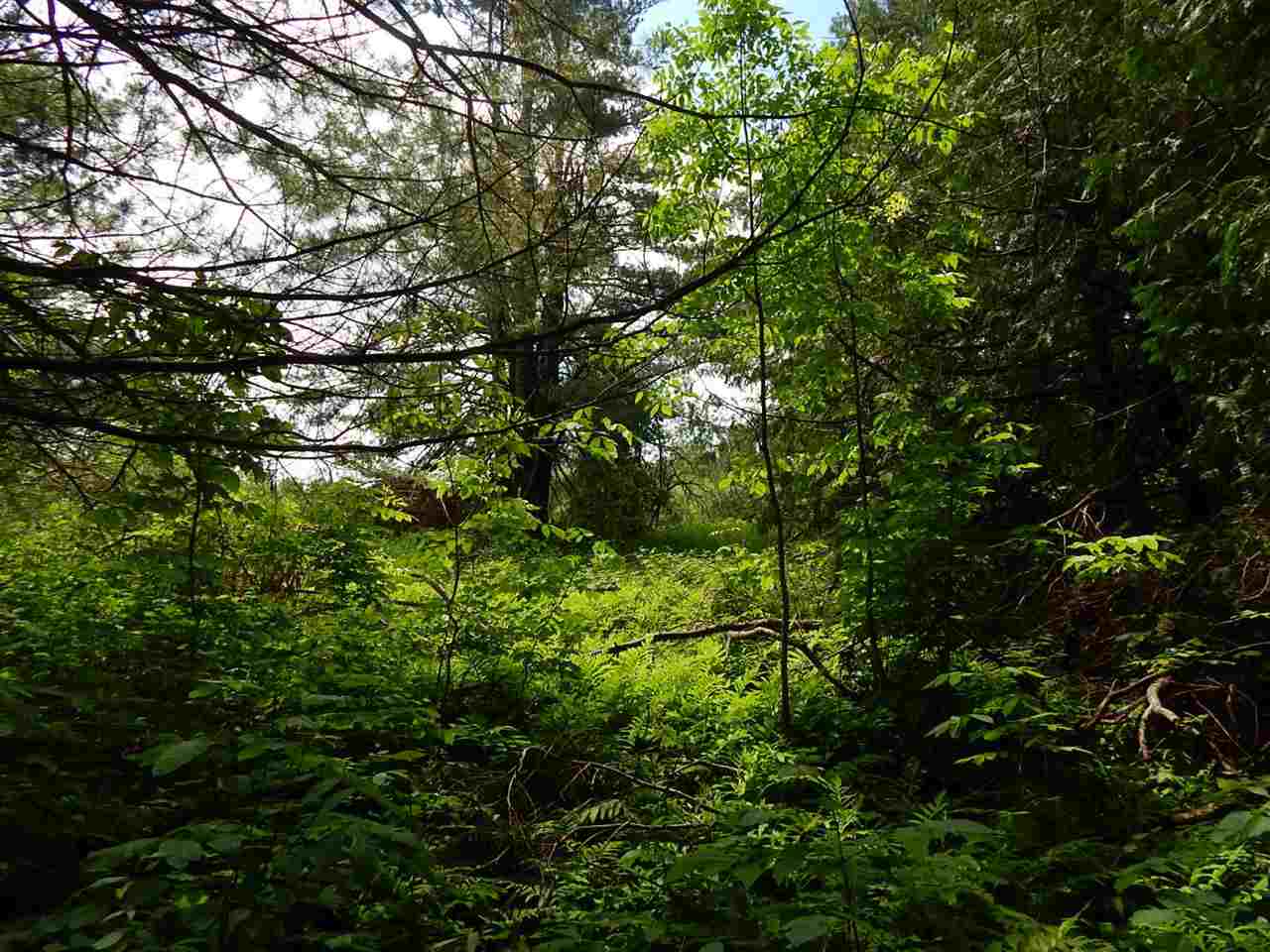 3835 Us 131 Highway Petoskey MI 49770