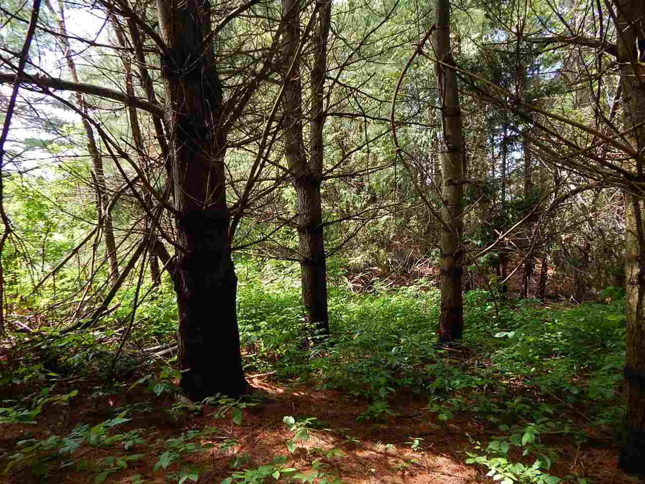3835 Us 131 Highway Petoskey MI 49770