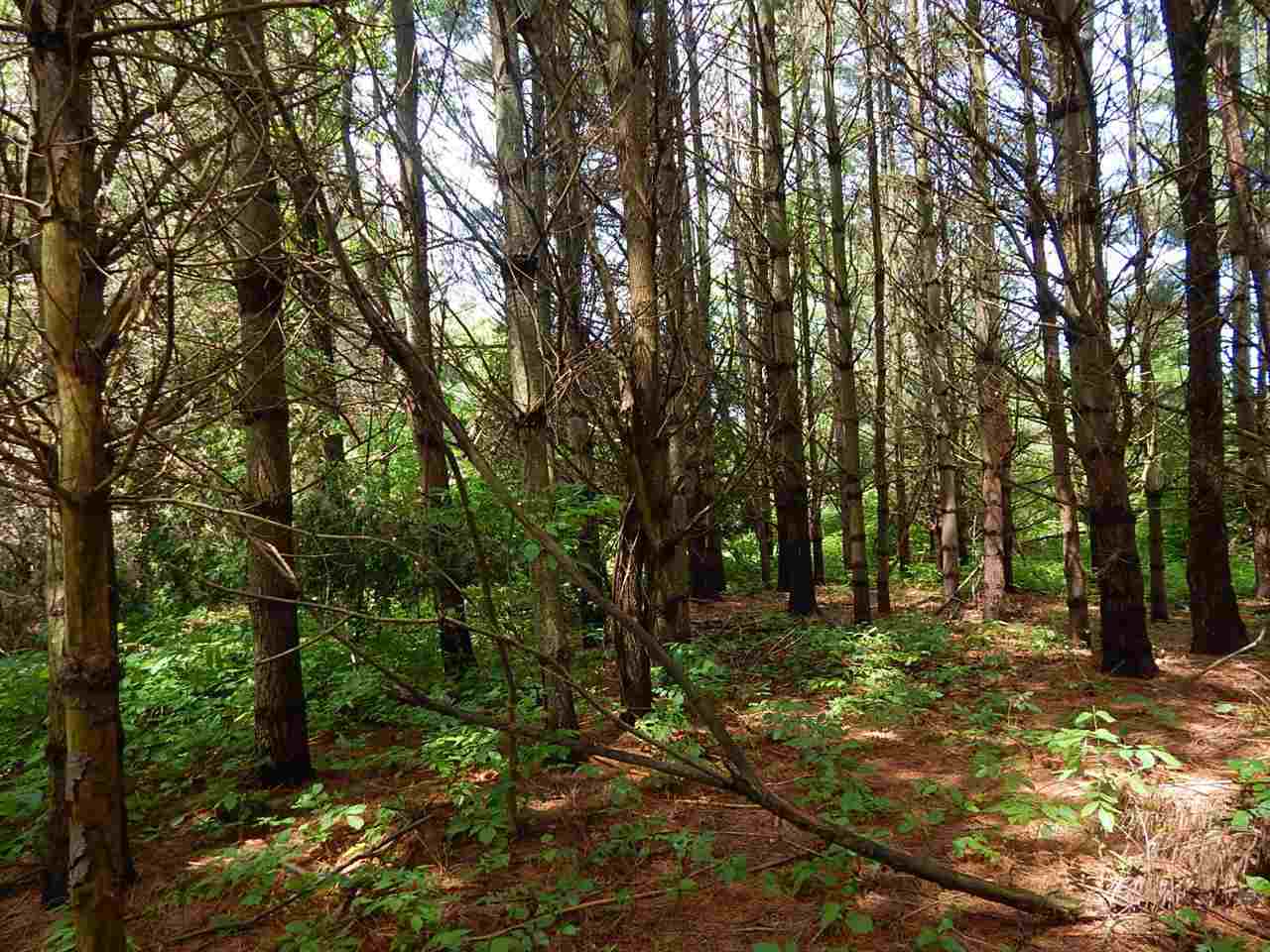 3835 Us 131 Highway Petoskey MI 49770