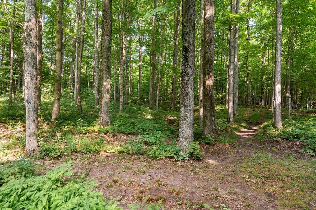 5020 Dingman School Road East Jordan MI 49727