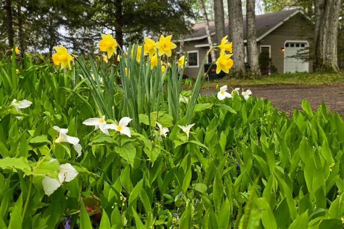 1715 Marion Hills Drive Charlevoix MI 49720-0000