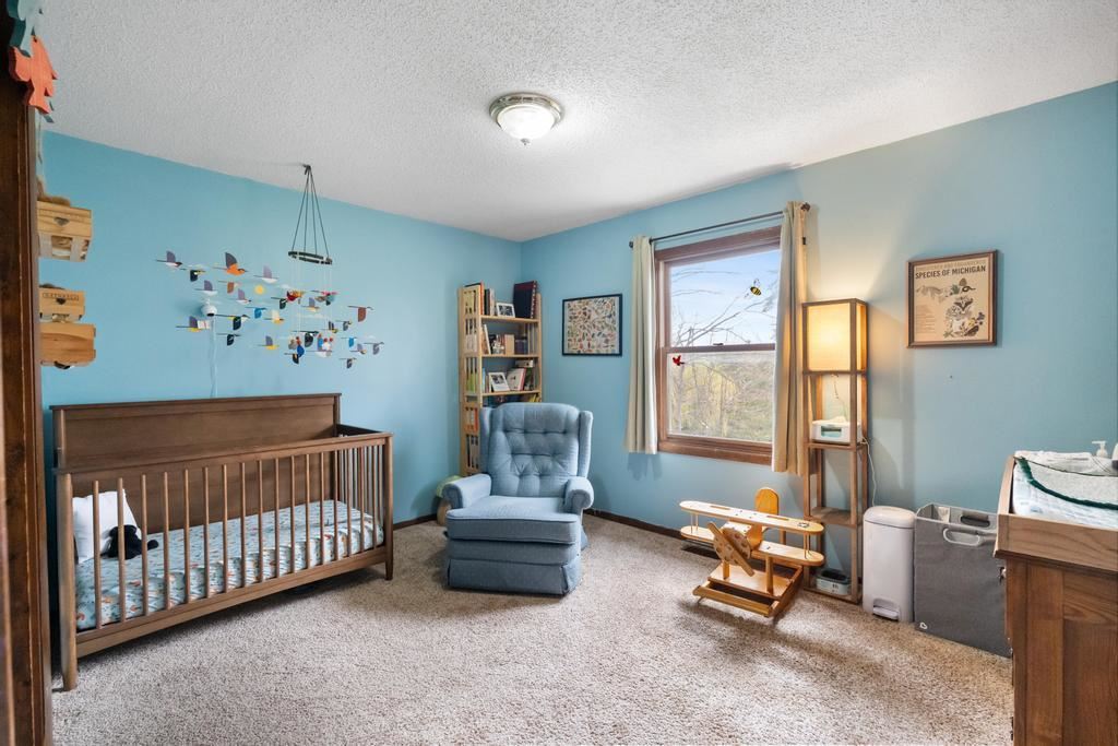 2301 Miller Road Alanson MI 49706