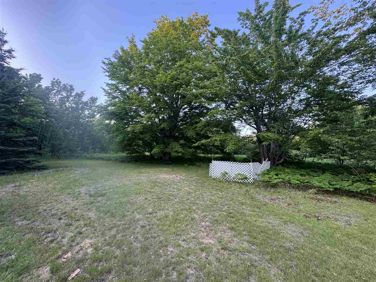 10590 N Hayes Lane Carp Lake MI 49718
