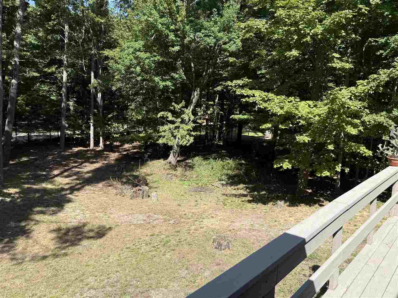 12678 Pa-be-shan Lane Charlevoix MI 49720