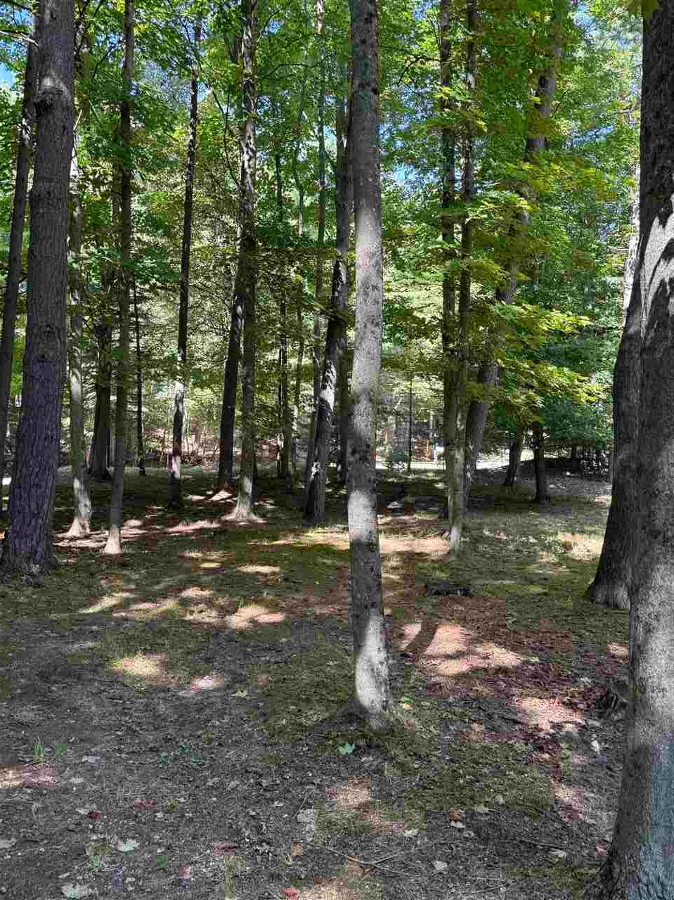12678 Pa-be-shan Lane Charlevoix MI 49720