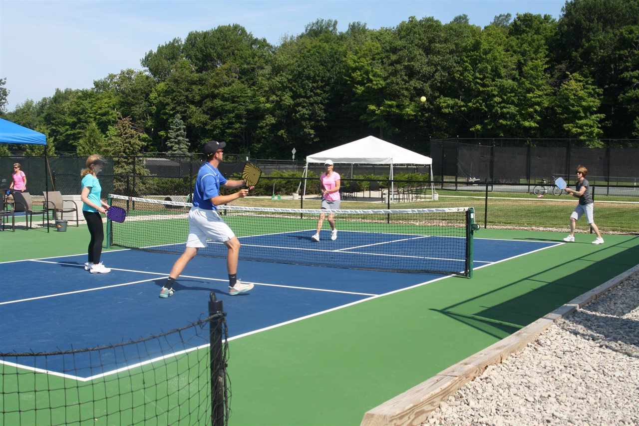 1240 Pine Tree Trail Harbor Springs MI 49740