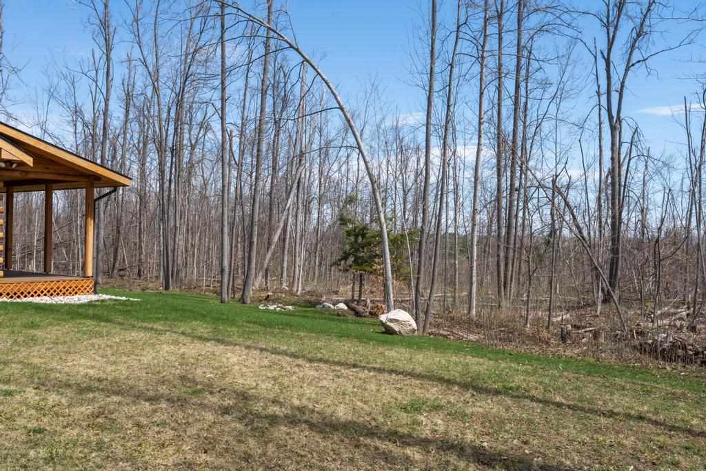 10398 W M-68 Alanson MI 49706