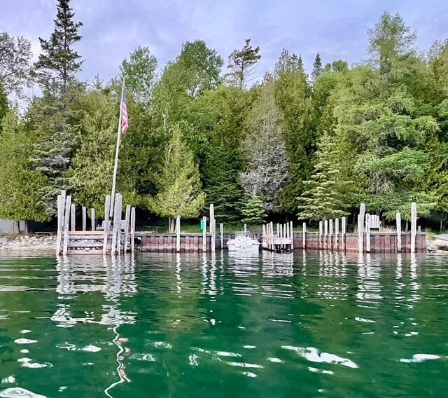 1934 S Coryell Island Cedarville MI 49719