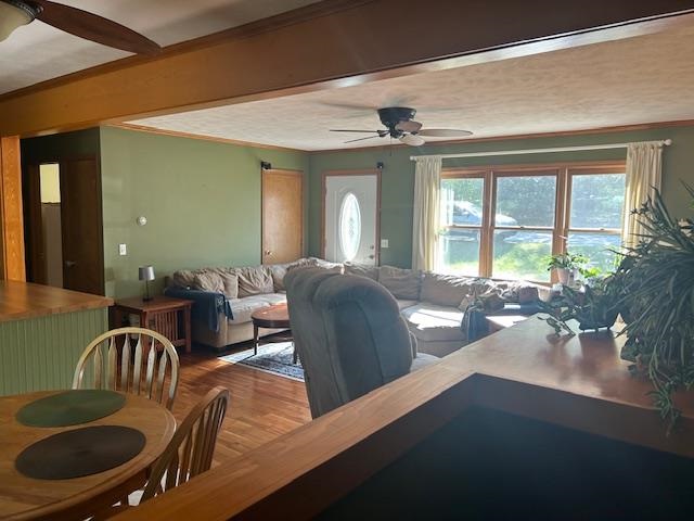 7181 Maple Drive Alanson MI 49706