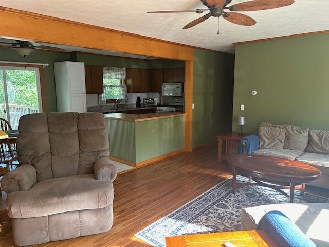 7181 Maple Drive Alanson MI 49706