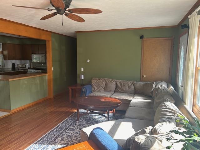 7181 Maple Drive Alanson MI 49706