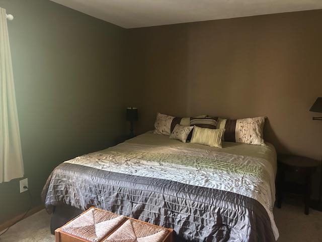 7181 Maple Drive Alanson MI 49706