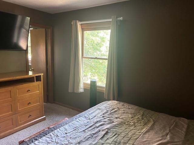 7181 Maple Drive Alanson MI 49706