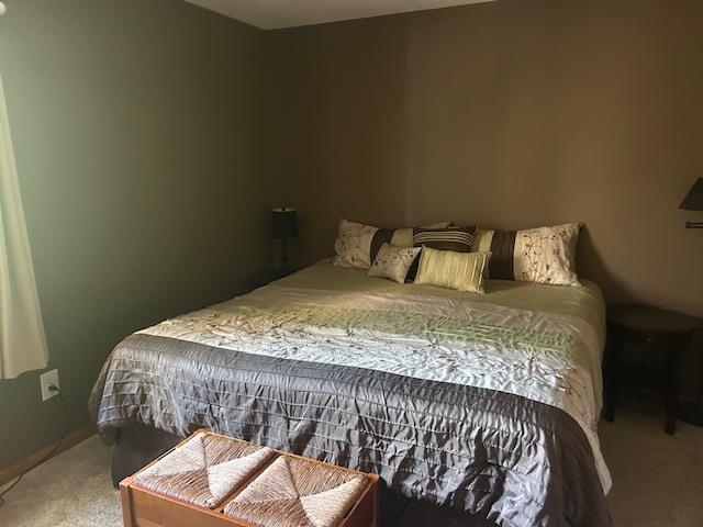 7181 Maple Drive Alanson MI 49706