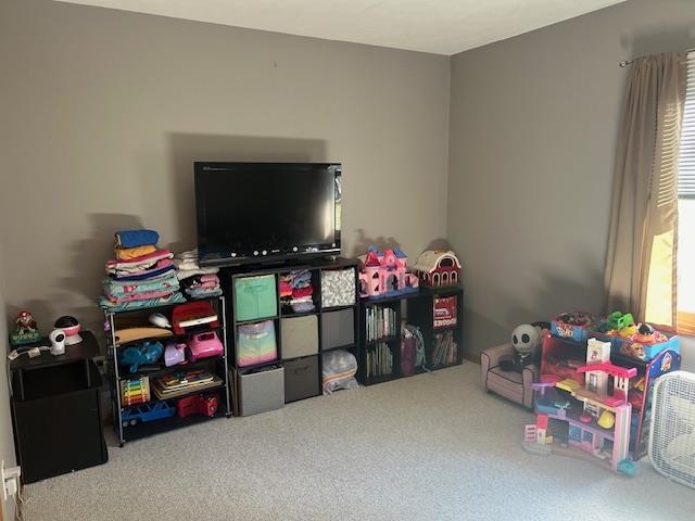 7181 Maple Drive Alanson MI 49706