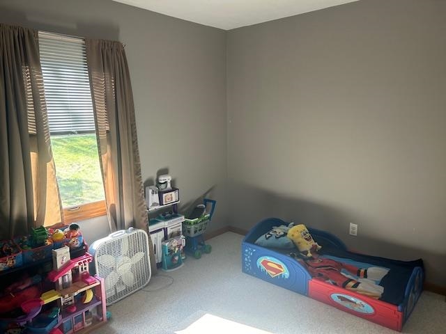 7181 Maple Drive Alanson MI 49706