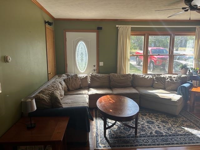 7181 Maple Drive Alanson MI 49706