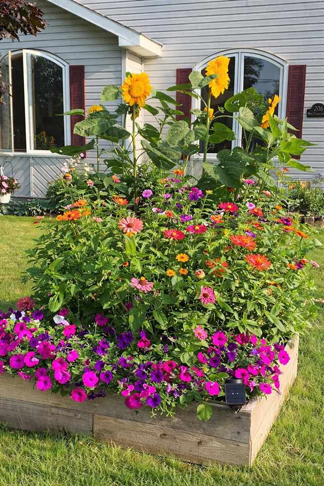 206 W Carpenter Street Charlevoix MI 49720